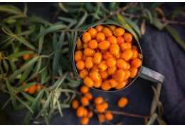 Rakitovec – naravni super sadež za imunski sistem, kožo in vitalnost